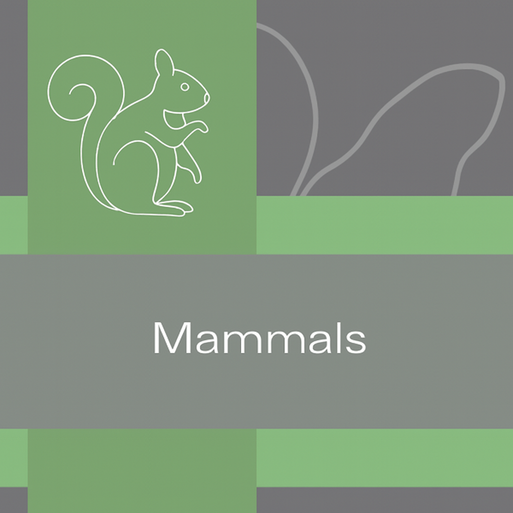Mammals
